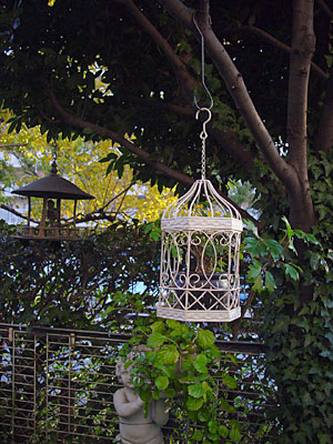 e0001735_21471133.jpg