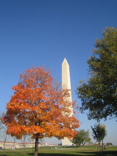 d0000937_10565589.jpg