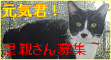 b0024945_10112770.gif
