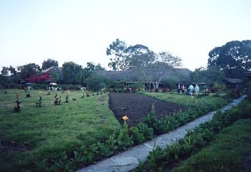 アルーシャ国立公園 ARUSHA (2)_c0011649_2361937.jpg
