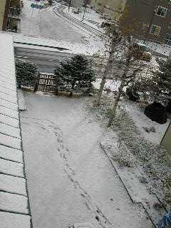 e0004756_9585087.jpg