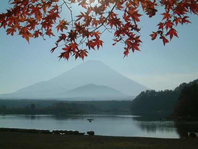 b0070657_16172030.jpg