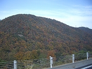 a0066258_22202429.jpg