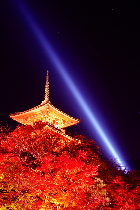 京都　東山　紅葉 _d0051759_2248327.jpg