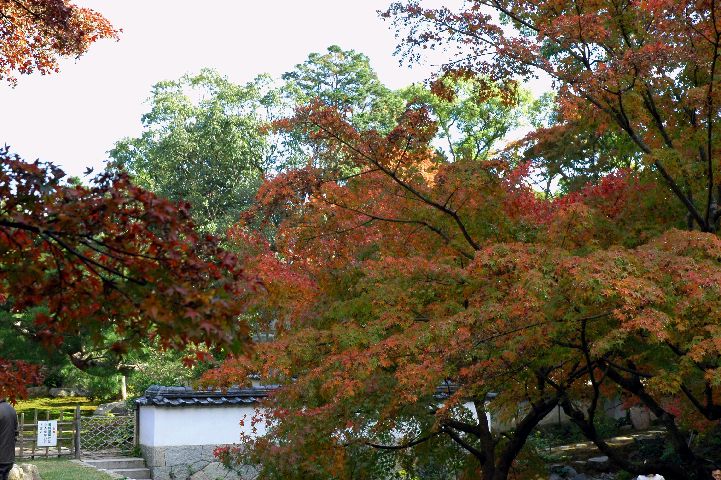 d0061579_1740456.jpg