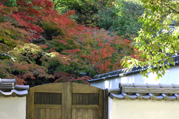 d0061579_17415390.jpg