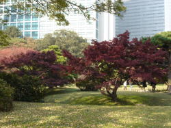 c0019880_1665623.jpg