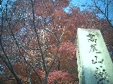 紅葉・・・高尾山_e0045792_1530060.jpg