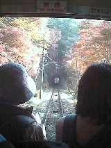 紅葉・・・高尾山_e0045792_15301346.jpg