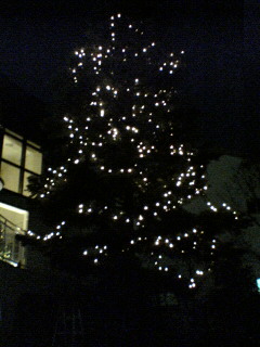 c0052600_23255496.jpg
