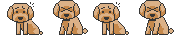 明日です。。。_a0050302_1553558.gif