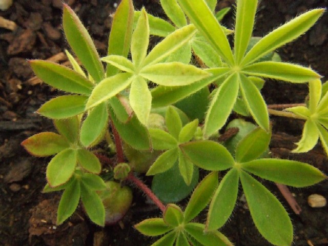 c0062603_16571963.jpg