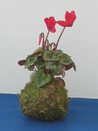 e0087805_22593459.jpg
