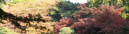 d0014408_2326680.gif