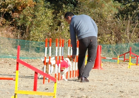 ＫＬＣ秋の運動会_c0065512_2361813.jpg