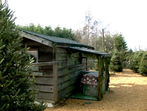 c0018716_10425281.jpg