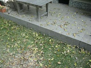 e0090719_174850100.jpg