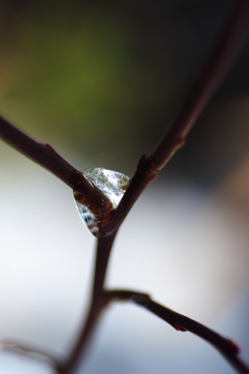 c0044720_713860.jpg
