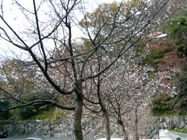 b0026125_21592080.jpg