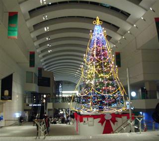 c0039428_23314589.jpg