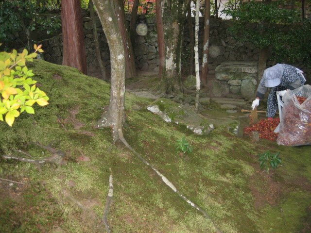 d0068757_1638353.jpg