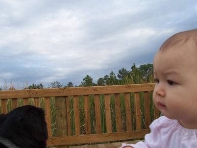 e0028272_23492848.jpg