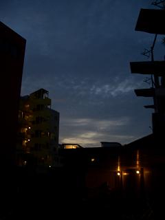 c0048381_039546.jpg