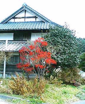 今日の川内村_d0027486_18594726.jpg