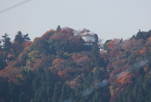 高尾山の紅葉 お散歩日記 高尾山の紅葉 お散歩日記