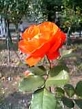 d0038294_2211113.jpg