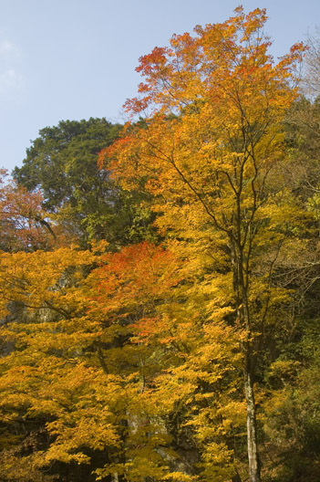 a0044202_63542.jpg