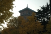 d0052904_1113137.jpg