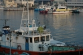 d0052904_1203777.jpg