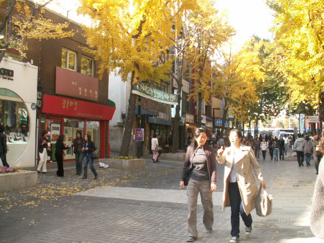 c0067209_1739292.jpg
