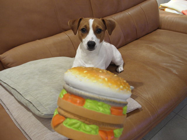 c0035931_04117.jpg