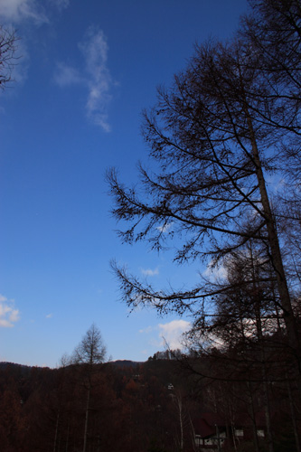 b0067346_1434823.jpg