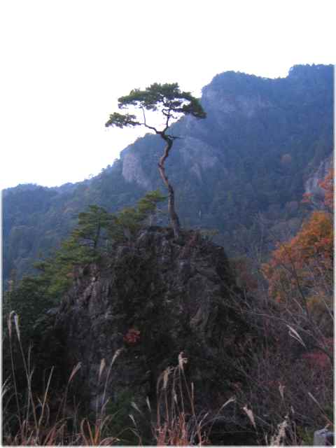 【鳳来寺山の夕暮れ】_b0009849_19423518.jpg