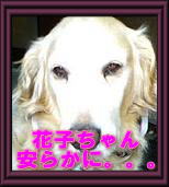 別れ_c0049950_205629100.jpg