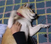 別れ_c0049950_211124.jpg