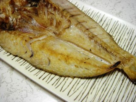 11月28日 甘ダイの干物_a0048653_047405.jpg