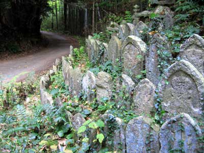 紅葉の浄瑠璃寺・岩船寺コース_f0007956_10143517.jpg