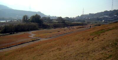 c0037571_1717016.jpg