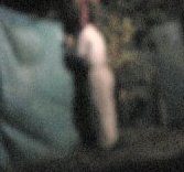 ▼今晩、家の庭で首を吊りますので、_d0017381_7551517.jpg