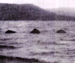 ネス湖の怪獣 ネッシー 真 本当にあったコワイ話 猛将伝 ネス湖の怪獣 ネッシー 真 本当にあったコワイ話 猛将伝