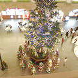 a0054504_19215480.jpg