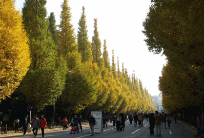 d0014408_14574192.gif