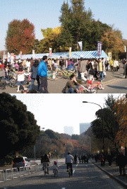 d0014408_1552854.gif