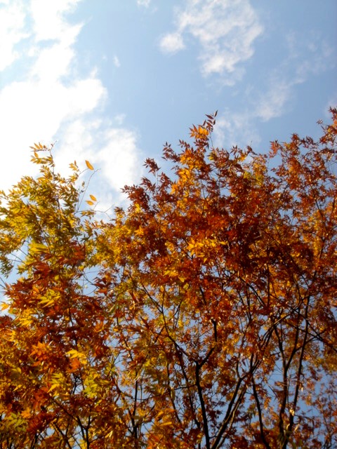 c0003723_20131742.jpg