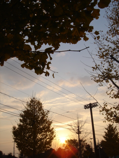 c0003723_20133596.jpg