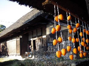 c0047856_18214751.jpg